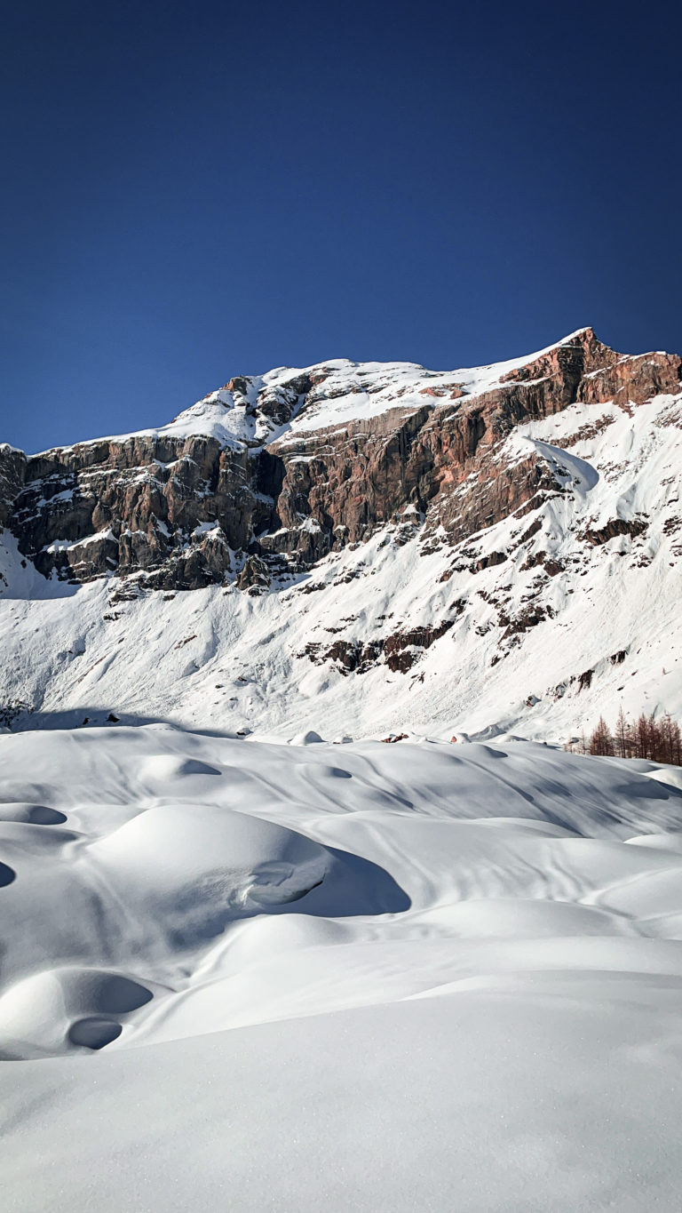 Lire la suite à propos de l’article Les Rousses