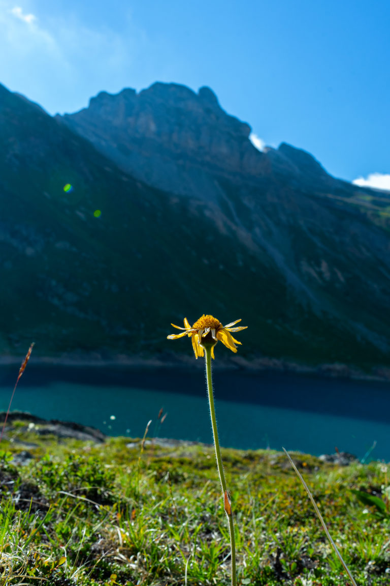 Lire la suite à propos de l’article Lac Sup. de Fully